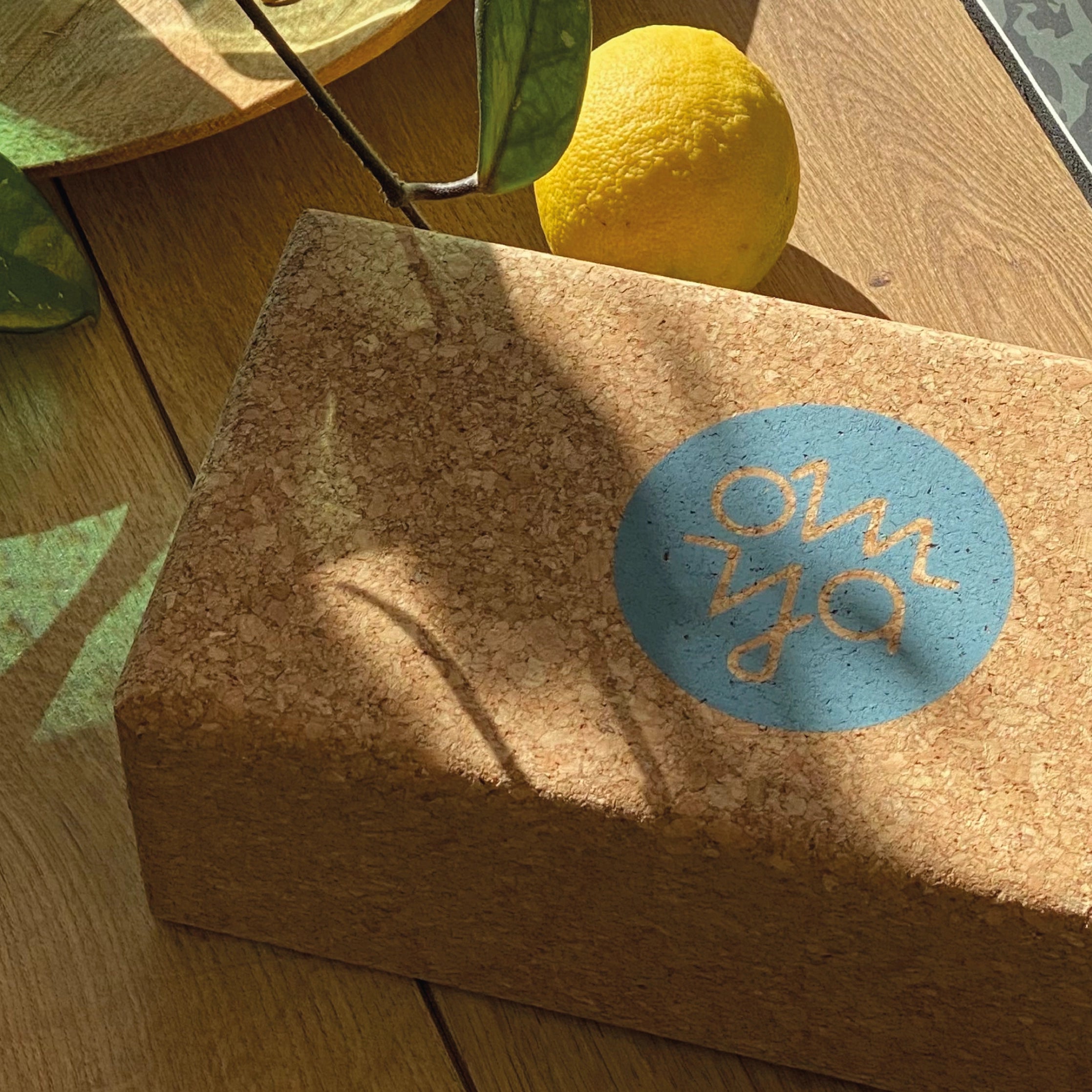 Yoga Cork Block - Sea
